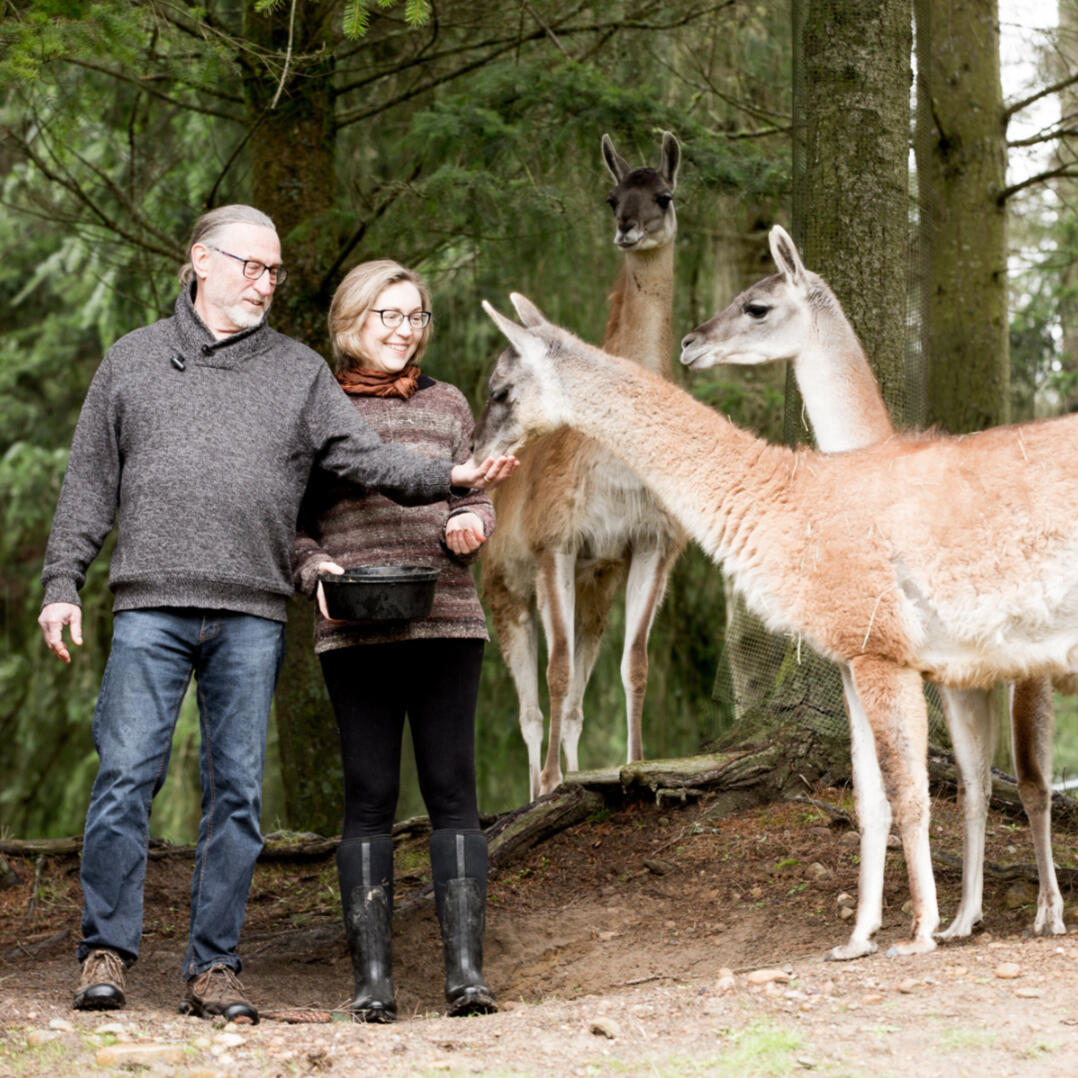 Explore natural dyeing with locally foraged plants with farmer Lisa Mitchell