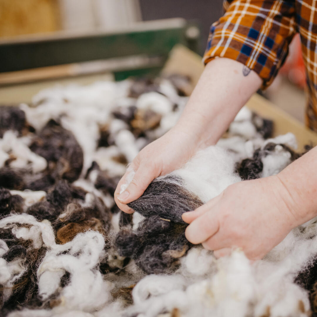 Visit Skagit Woolen Works, a local zero-waste fiber mill, and go behind the scenes at SpinCycle Yarns, known for their stunning color-changing yarns